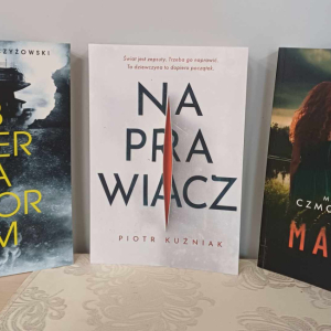 "Obserwator"- Jarosław Szczyżowski, "Naprawiacz" - Piotr kuźniak, "Majaki" - Magdalena Czmochowska